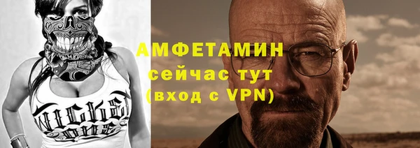 винт Абаза