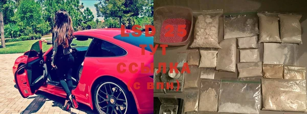 винт Абаза