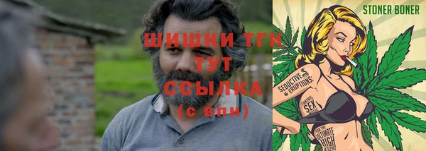 винт Абаза