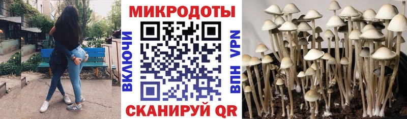 Галлюциногенные грибы Magic Shrooms Красноармейск