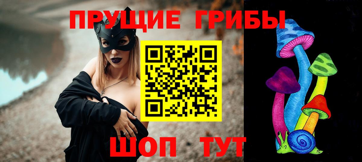 Галлюциногенные грибы Psilocybine cubensis Красноармейск